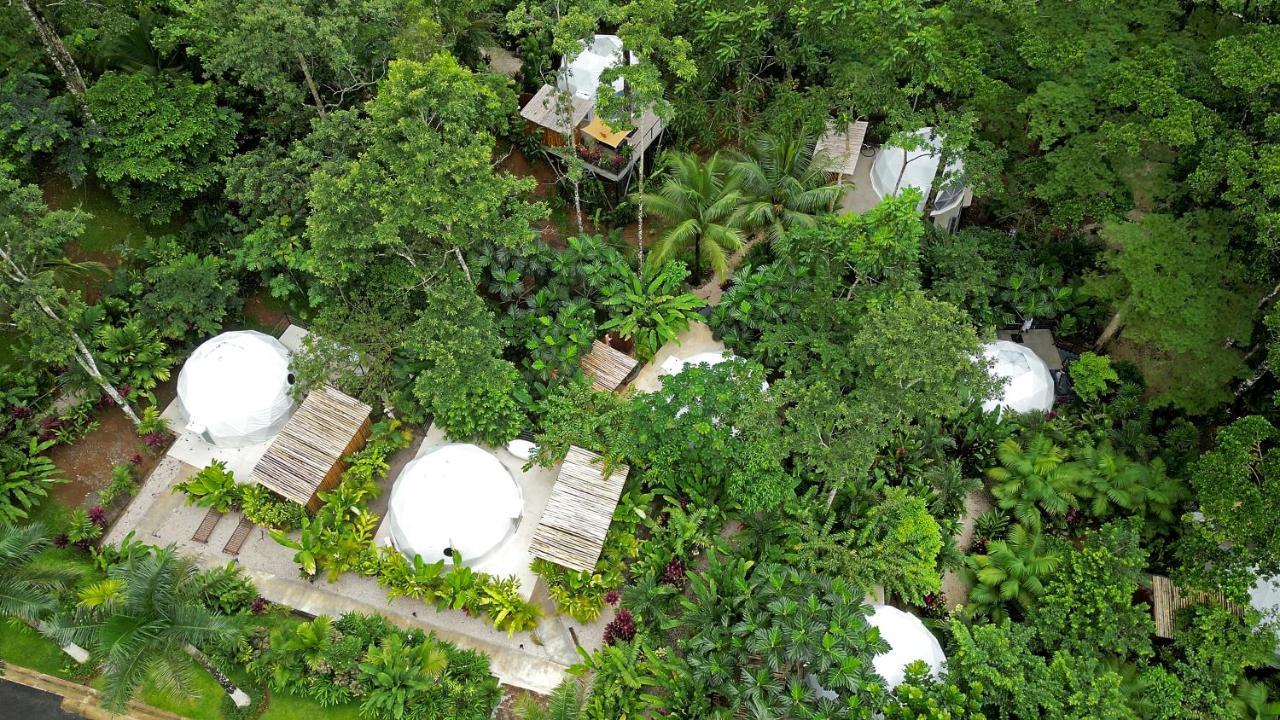 Palo Alto Glamping Hotel Quesada  Экстерьер фото