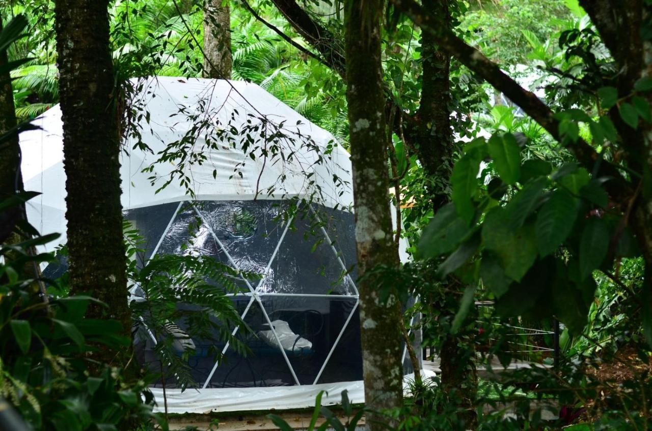 Palo Alto Glamping Hotel Quesada  Экстерьер фото