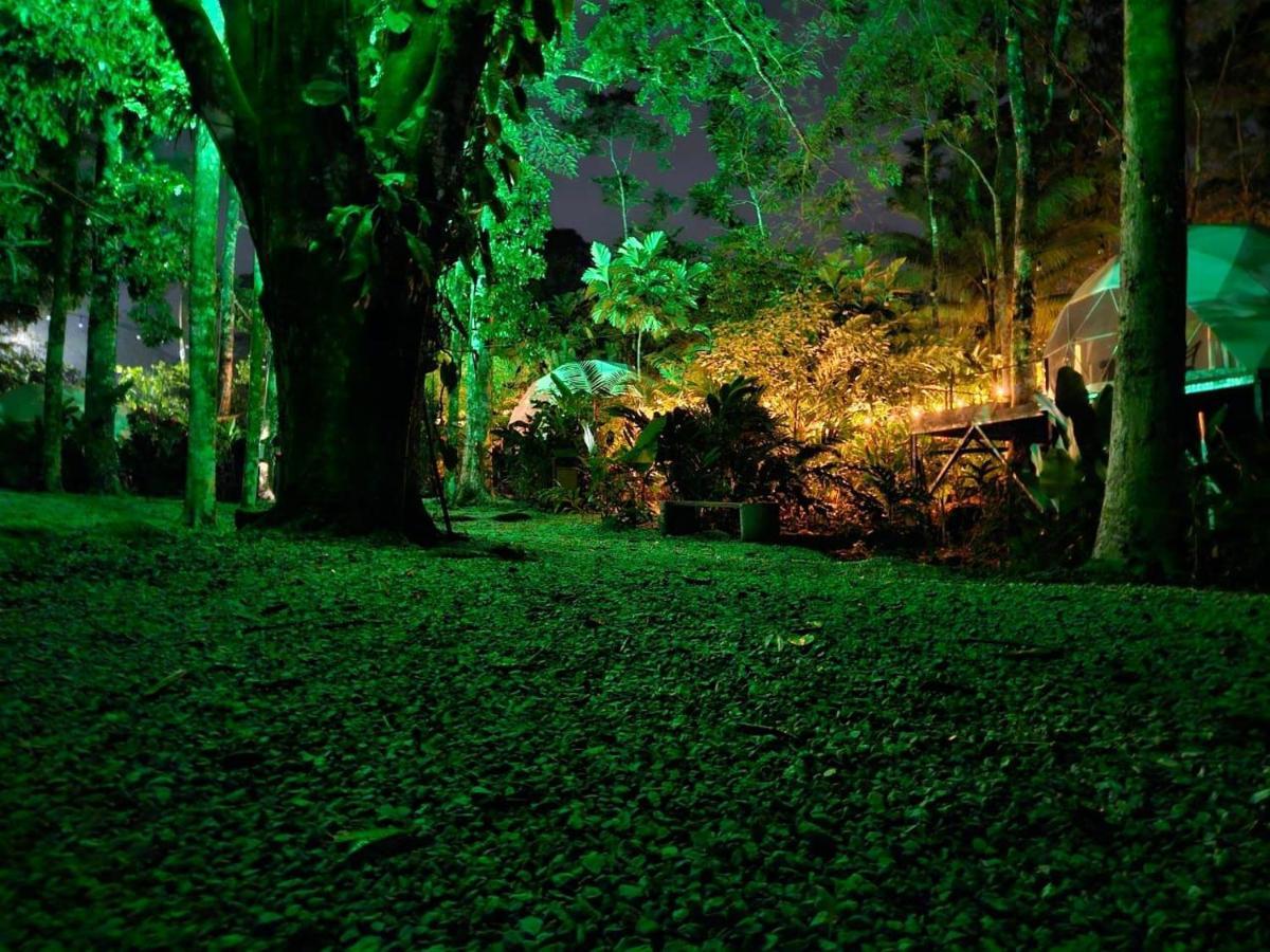 Palo Alto Glamping Hotel Quesada  Экстерьер фото
