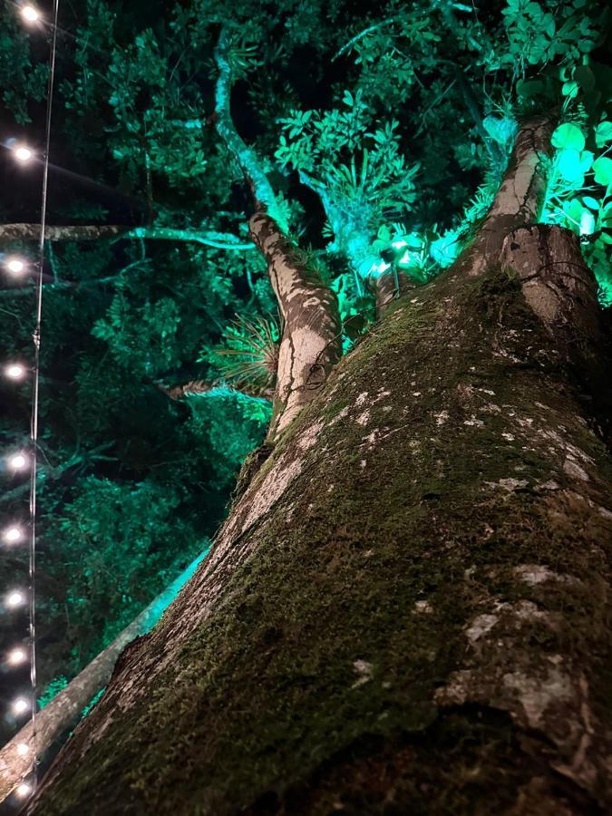 Palo Alto Glamping Hotel Quesada  Экстерьер фото