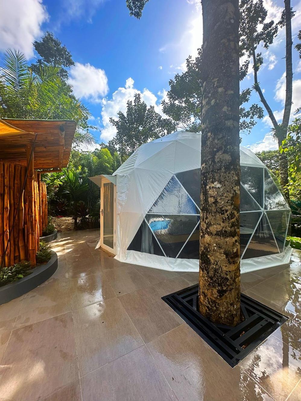Palo Alto Glamping Hotel Quesada  Номер фото